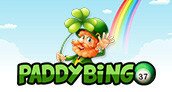 PaddyBingo-172x92-172x92