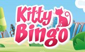 Kitty Bingo